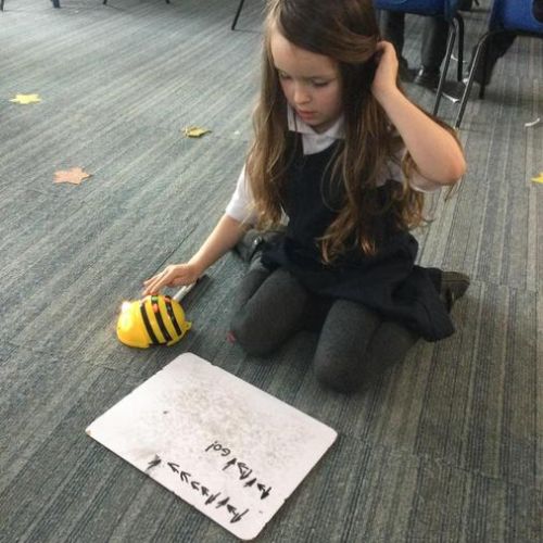 Spring Term - Programming (computing) - I can make a sequence. I can programme a robot to move.